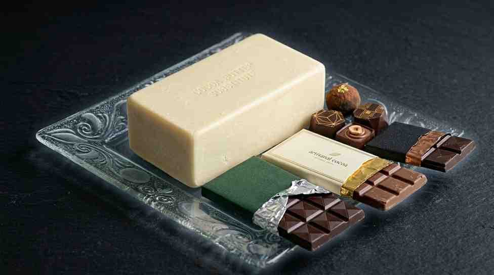 Cocoa Butter Substitute (CBS) – edible-oils product from Bio Green Wax