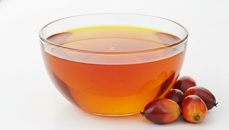 Palm Olein – edible-oils product from Bio Green Wax