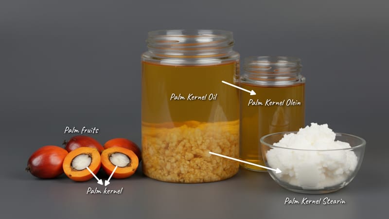 Palm Kernel Olein – wholesale edible oil and wax product from Bio Green Wax